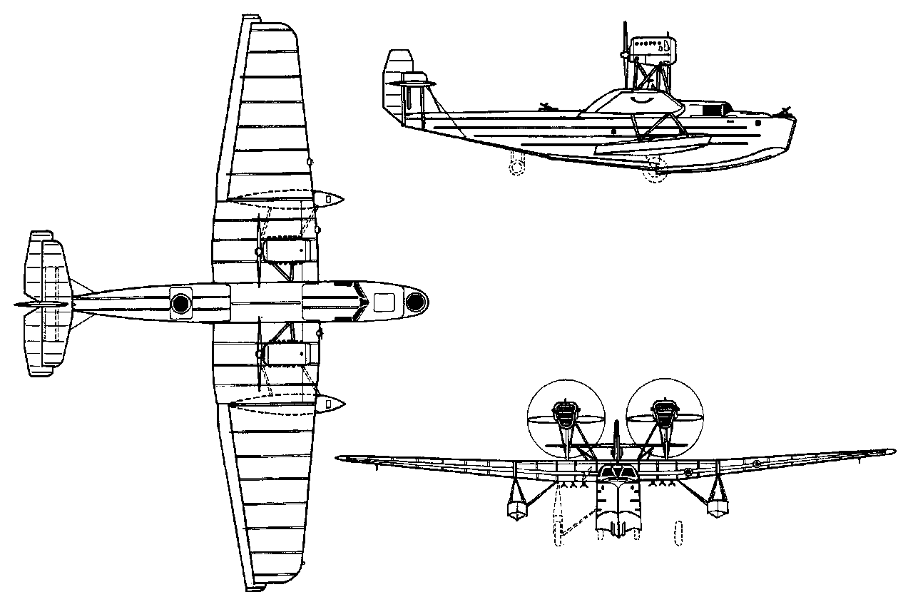 ANT-8