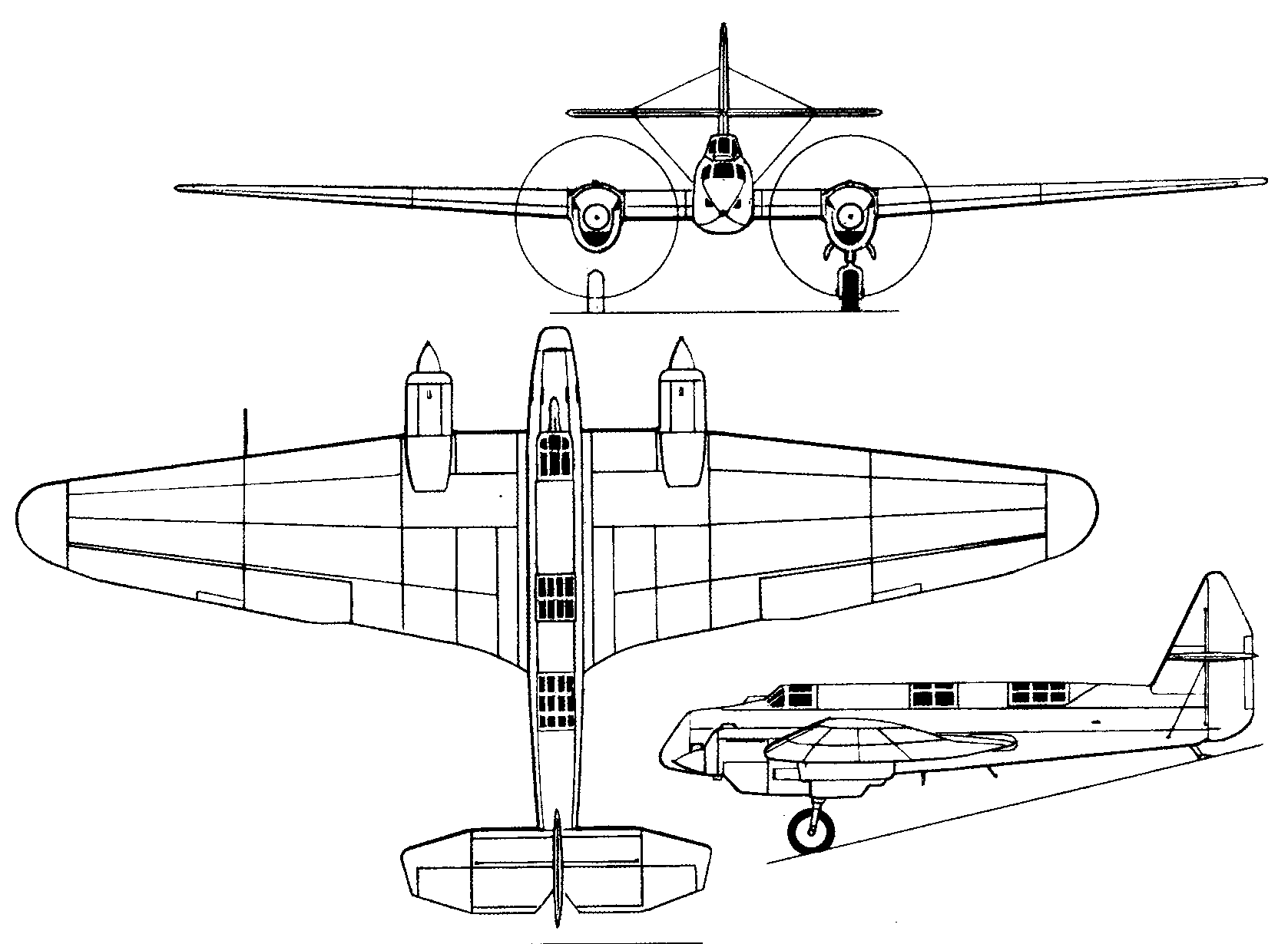 ant-21bis